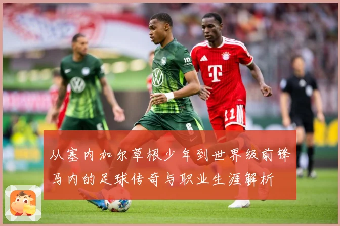 从塞内加尔草根少年到世界级前锋马内的足球传奇与职业生涯解析